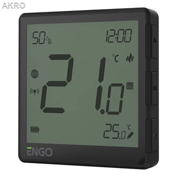 Engo Controls EONE230B Internetowy reg. temp.